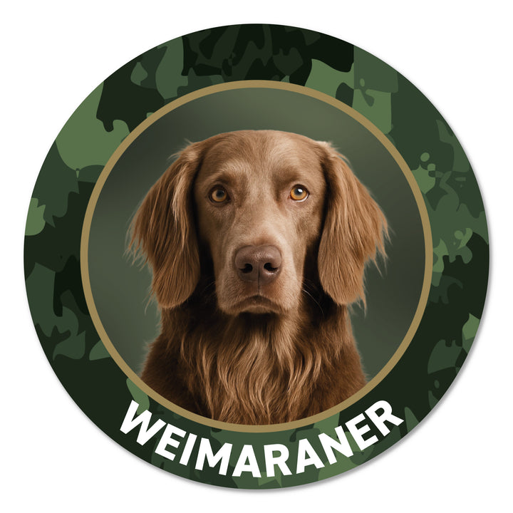 Weimaraner Langhaar Jagdhund Premium-Aufkleber, UV- & witterungsbeständig, 7 Jahre im Außenbereich, Made in Germany, Ø 10 cm