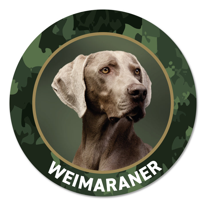 Weimaraner Jagdhund Premium-Aufkleber, UV- & witterungsbeständig, 7 Jahre im Außenbereich, Made in Germany, Ø 10 cm