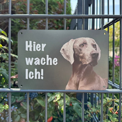 Weimaraner Warnschild „Hier wache ich!“ | Jagdhund Hundeschild für Zaun, Tor & Grundstück, wetterfest