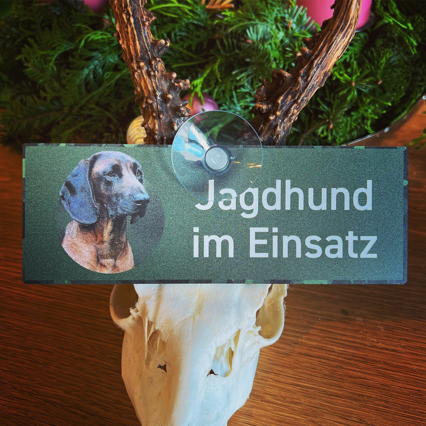 Bayerischer Gebirgsschweißhund BGS Schild "Jagdhund im Einsatz" Auto-Hundeschild mit Saugnapf für die Scheibe - Made in Germany