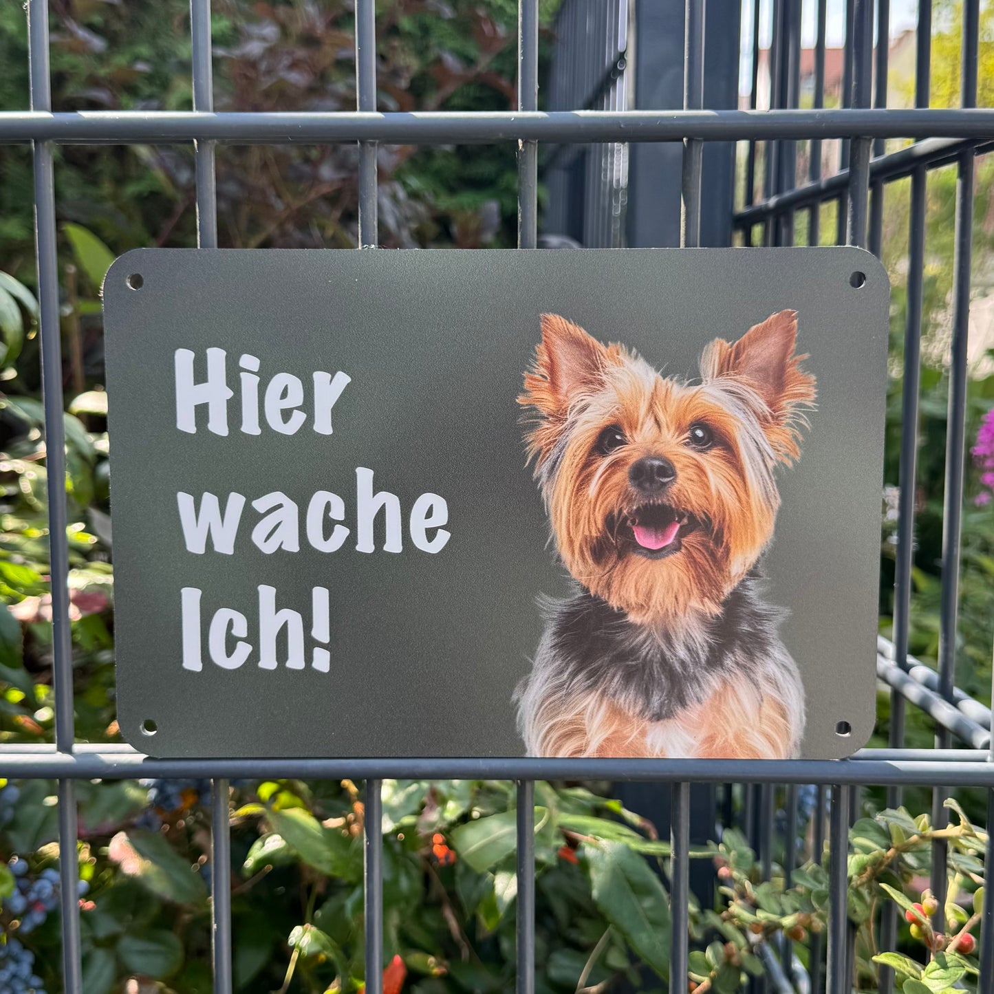 Yorkshire Terrier Warnschild „Hier wache ich“ | Jagdhund Hundeschild für Zaun, Tor & Grundstück, wetterfest
