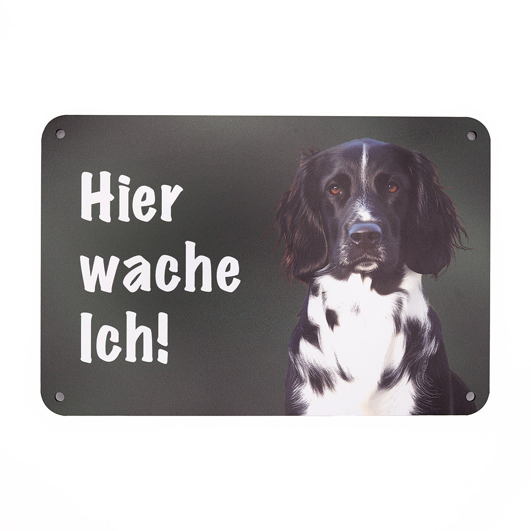 Großer Münsterländer Warnschild „Hier wache ich!“ | Jagdhund Hundeschild für Zaun, Tor & Grundstück, wetterfest